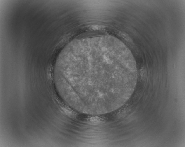 X0000071910423200608041414