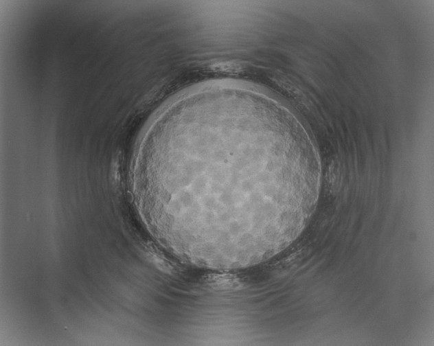 X0000071910424200608041414