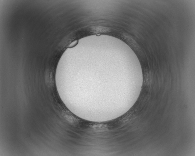 X0000071910426200608041414