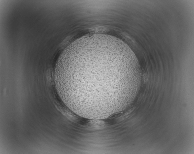 X0000071910429200608041414
