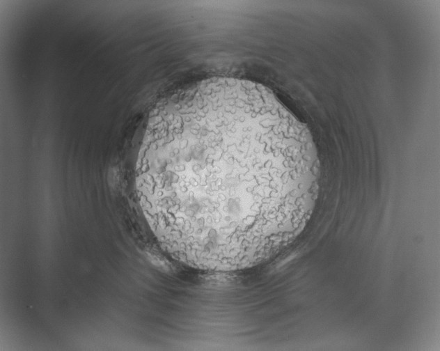 X0000071910432200608041414