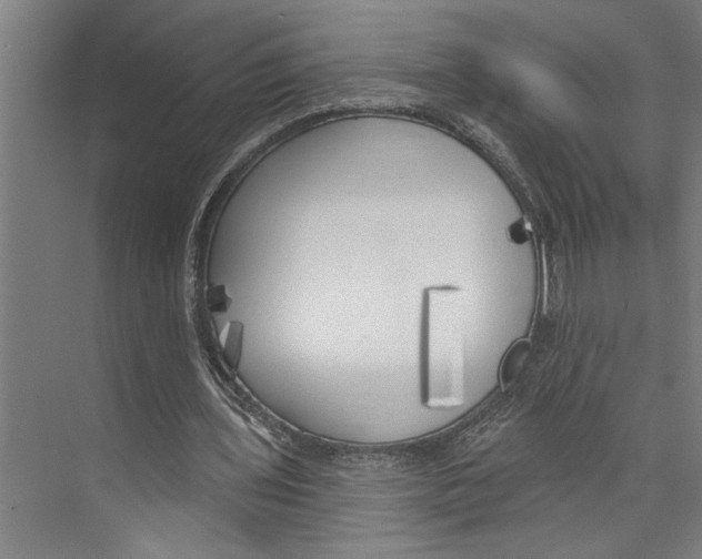 X0000071910435200608041413