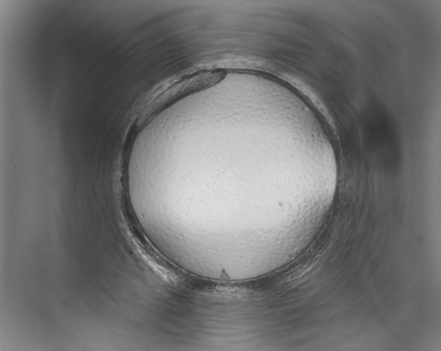 X0000071910437200608041413