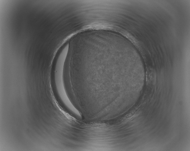 X0000071910438200608041413