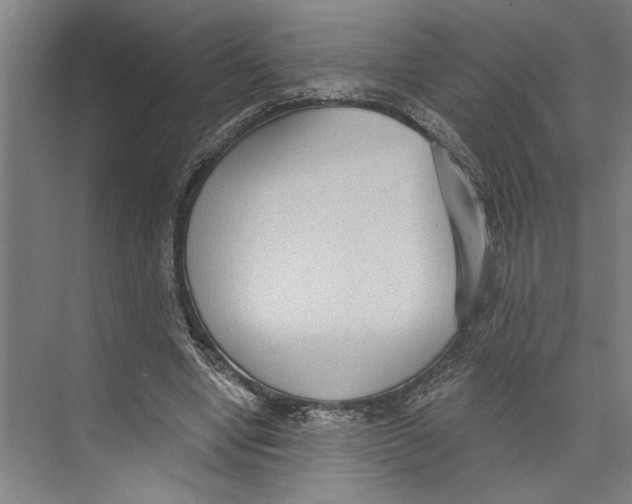 X0000071910442200608041413