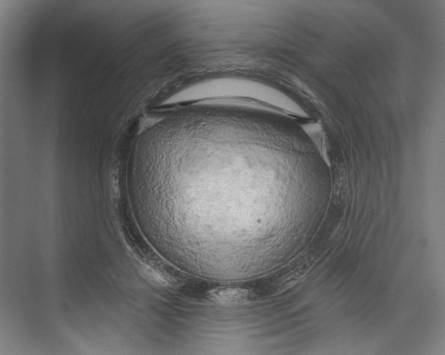 X0000071910452200608041413