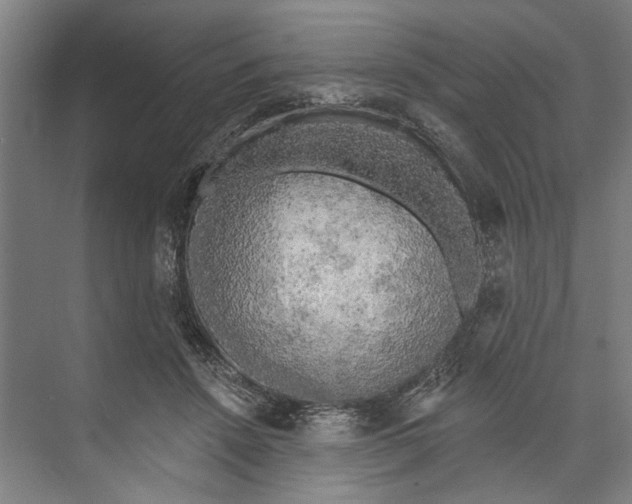 X0000071910456200608041413