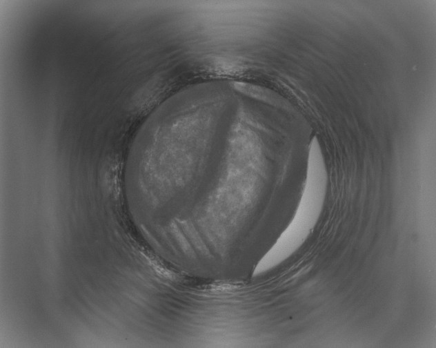 X0000071910462200608041413