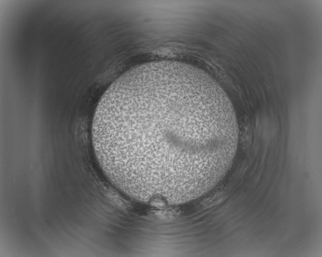 X0000071910466200608041413