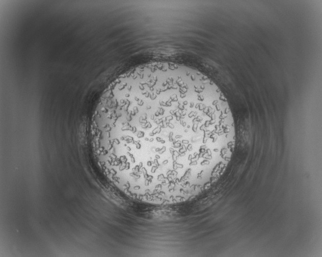 X0000071910468200608041413