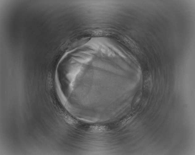 X0000071910469200608041413