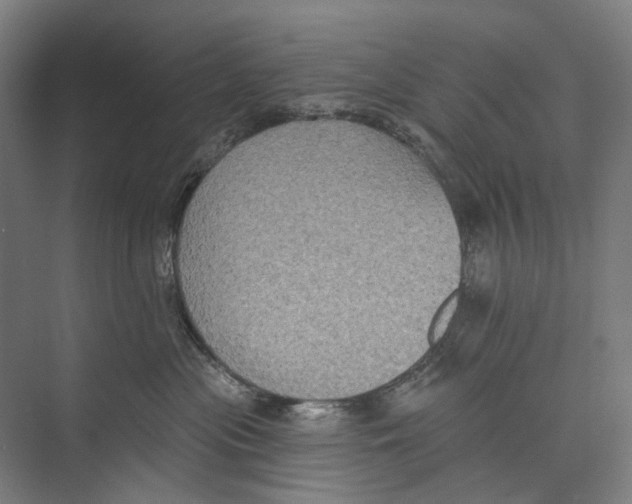 X0000071910477200608041413