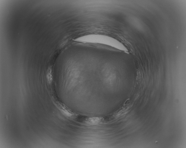 X0000071910479200608041413