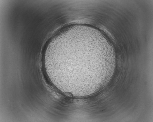 X0000071910486200608041413