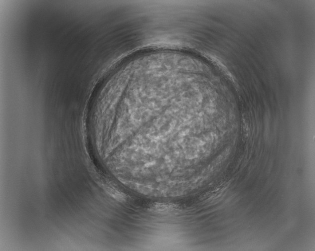 X0000071910487200608041413