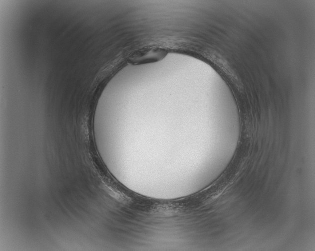 X0000071910489200608041413