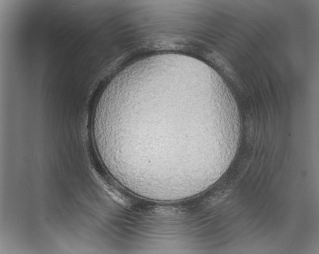 X0000071910490200608041413