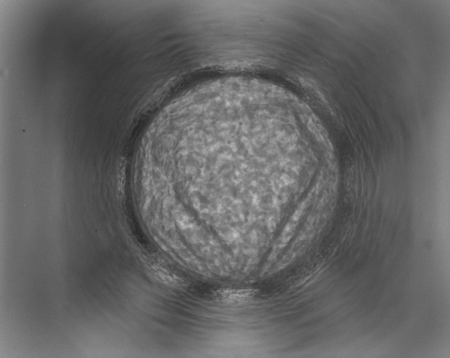 X0000071910495200608041412