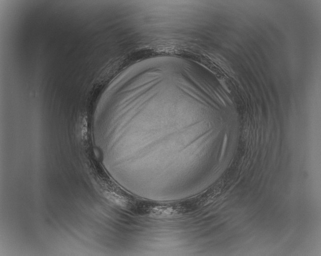 X0000071910502200608041412