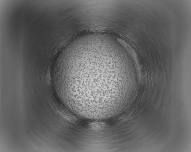 X0000071910508200608041412