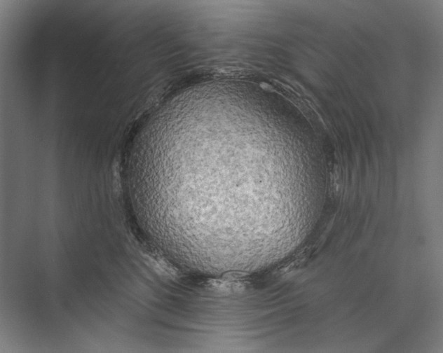 X0000071910520200608041412