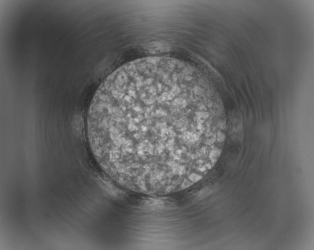 X0000071910523200608041412