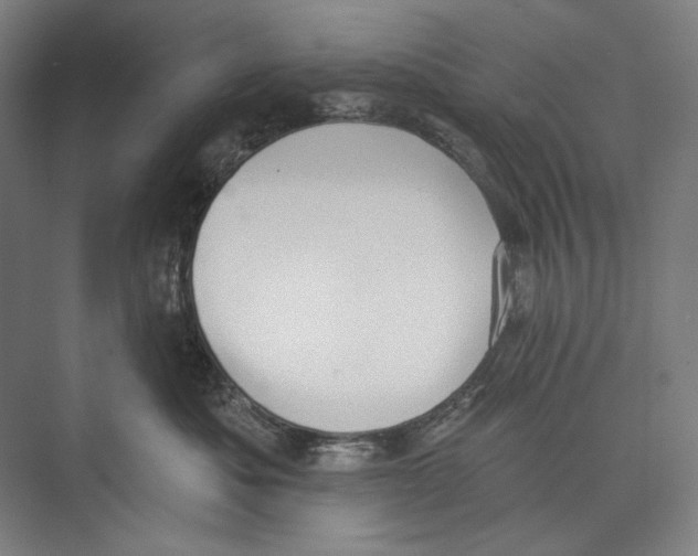 X0000071910525200608041412
