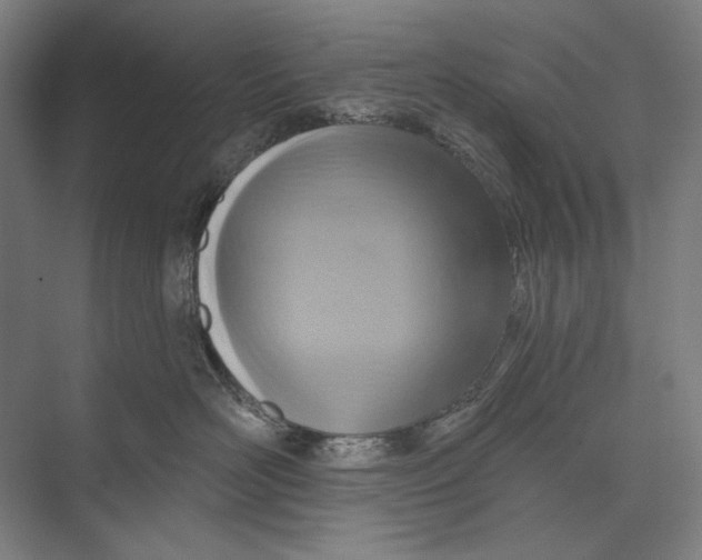 X0000071910526200608041412