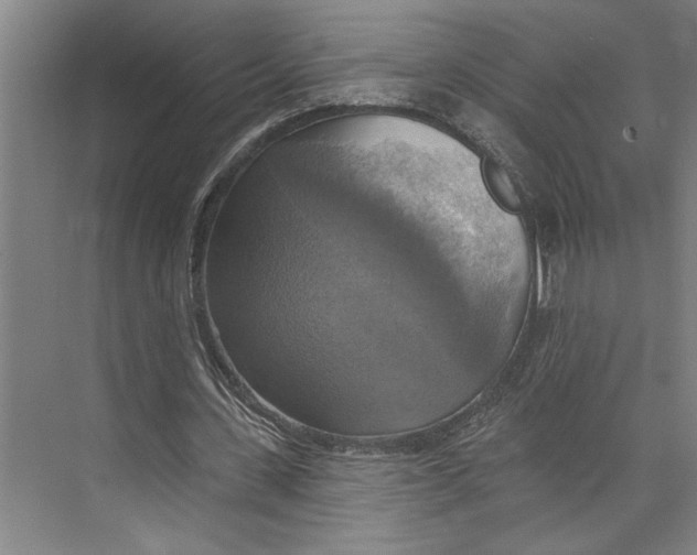 X0000071910531200608041411