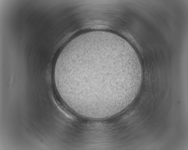 X0000071910533200608041411