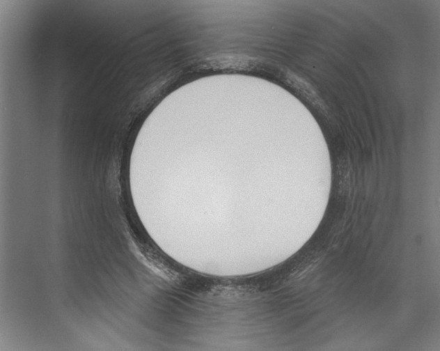 X0000071910538200608041411
