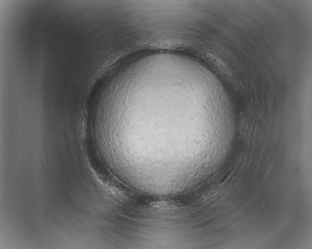 X0000071910544200608041411