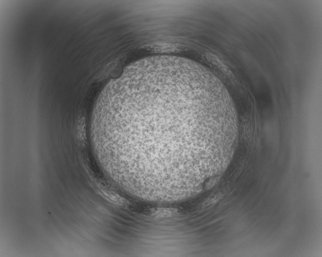 X0000071910549200608041411