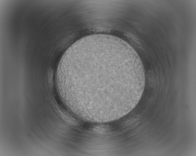 X0000071910550200608041411