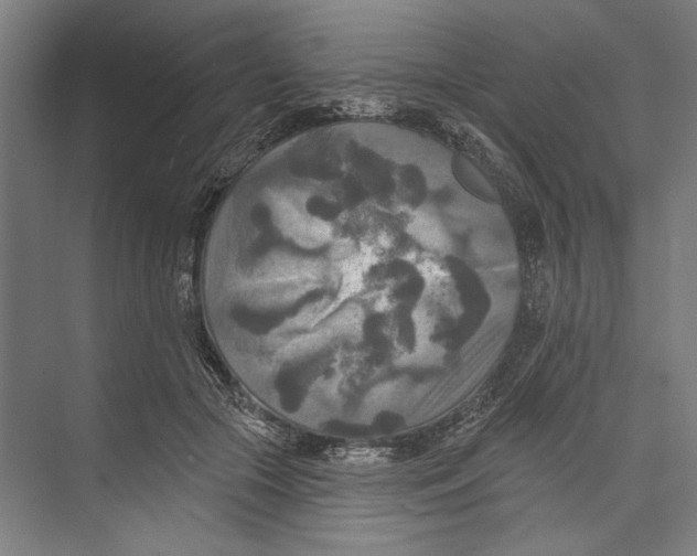 X0000071910553200608041411