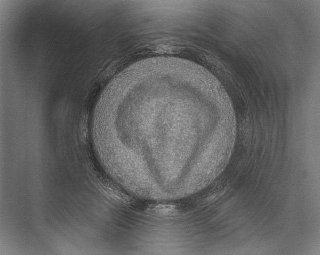 X0000071910554200608041411