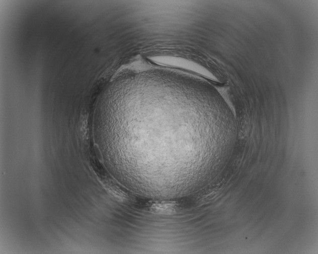 X0000071910560200608041412