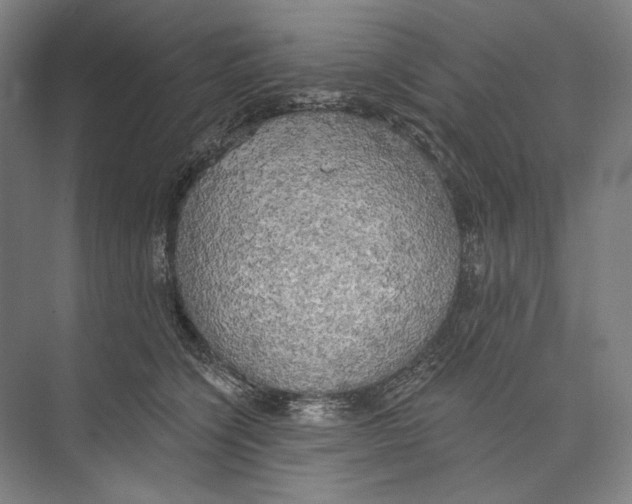 X0000071910564200608041412