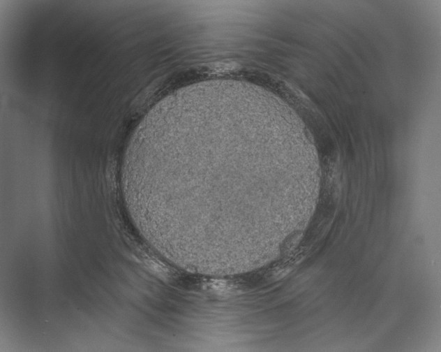 X0000071910565200608041412