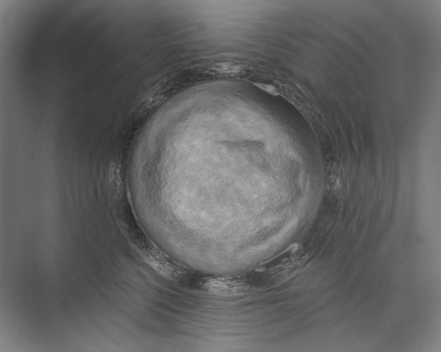 X0000071910568200608041412