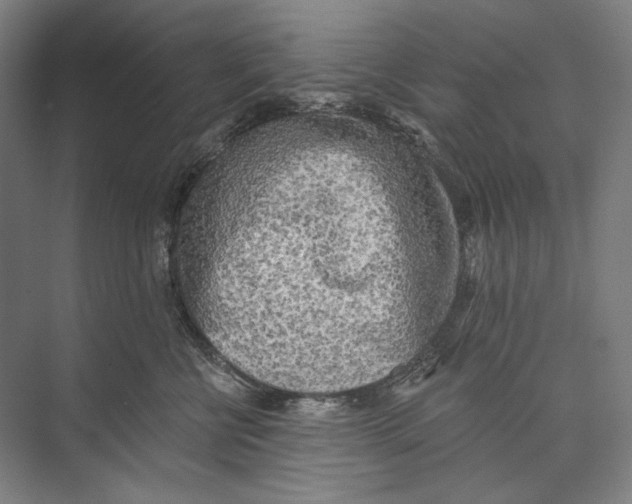 X0000071910570200608041412