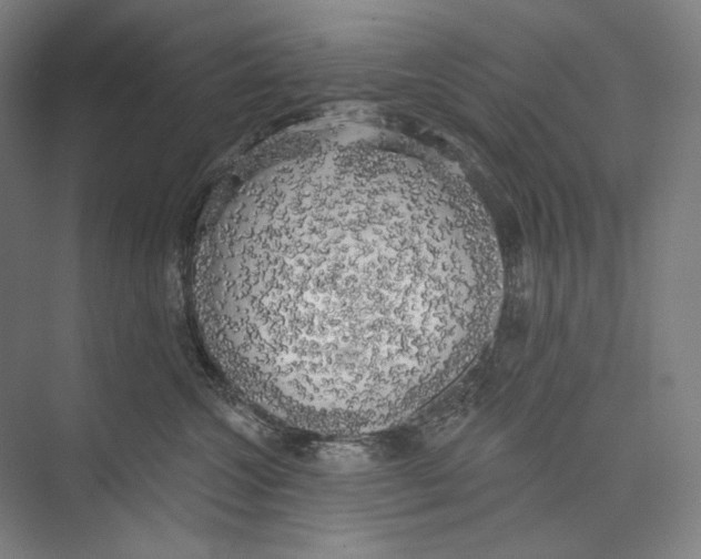 X0000071910572200608041412