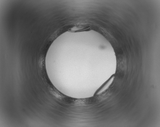 X0000071910574200608041412