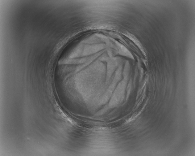 X0000071910577200608041411