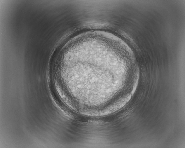 X0000071910582200608041411