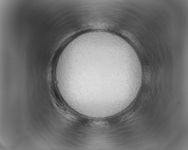 X0000071910583200608041411