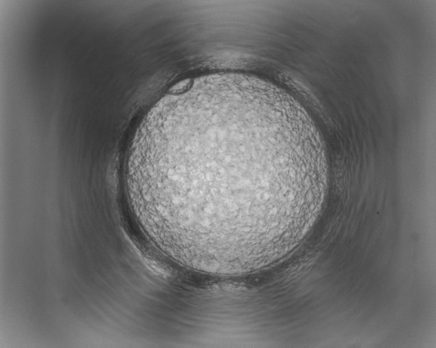 X0000071910586200608041411