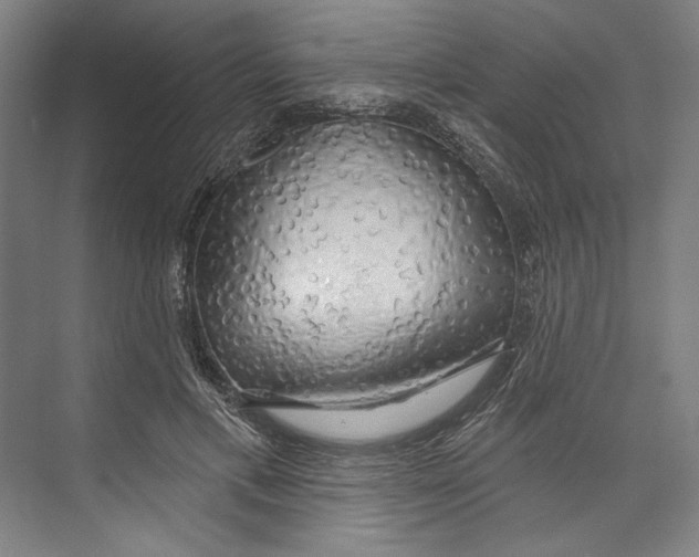 X0000071910597200608041411