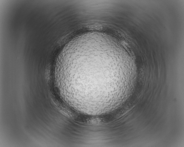 X0000071910600200608041411