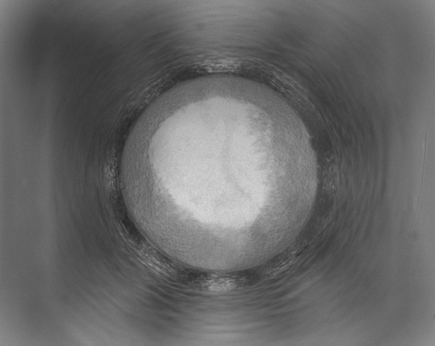 X0000071910604200608041411